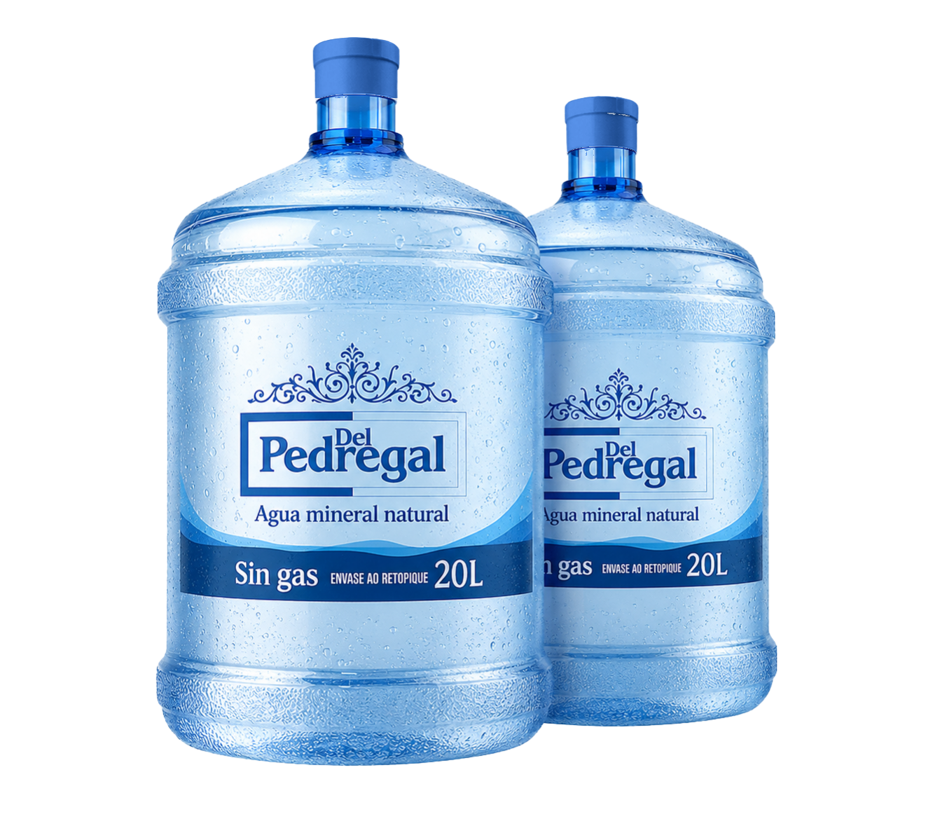 Bidones 20L Del Pedregal