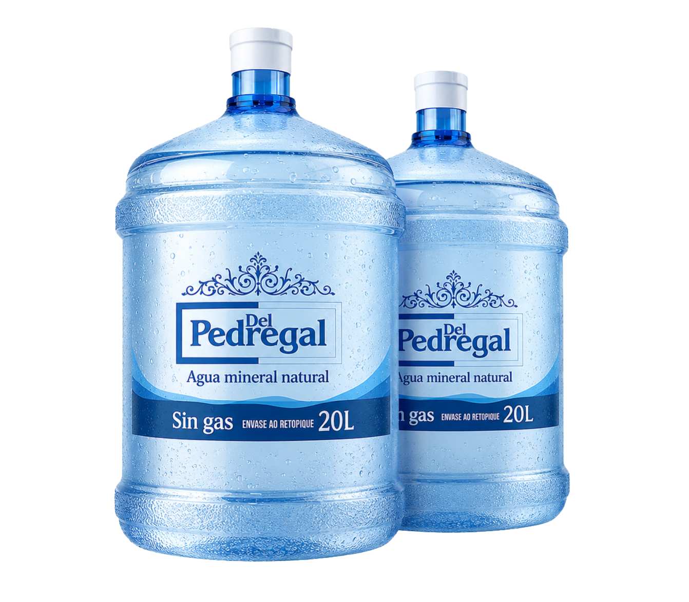 Bidones 20L Del Pedregal